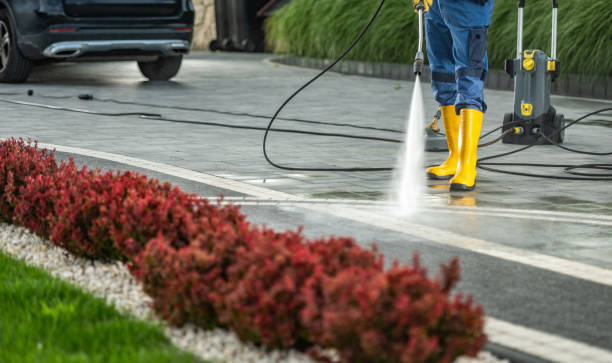 Best Local Pressure Washing Services  in Garden City, MI
