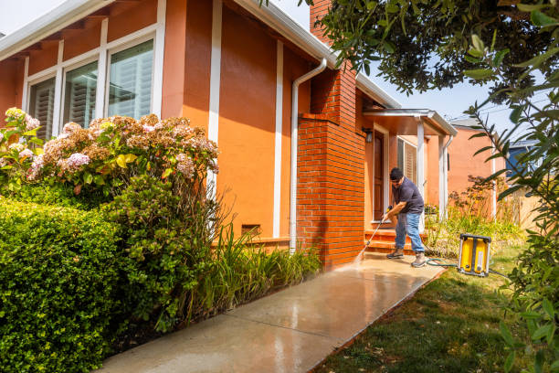 Best Deck Pressure Washing  in Garden City, MI