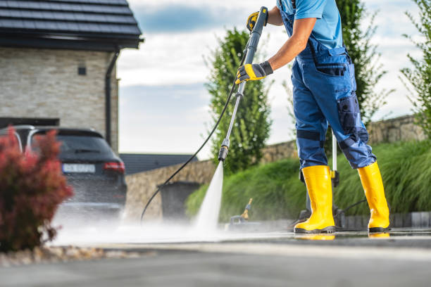 Best Roof Pressure Washing  in Garden City, MI