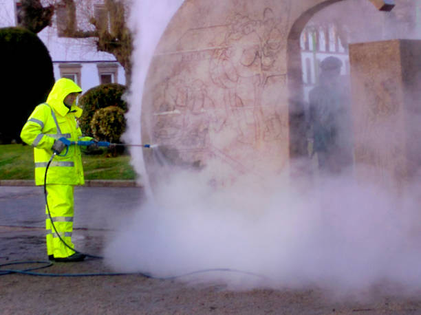 Best Sidewalk Pressure Washing  in Garden City, MI